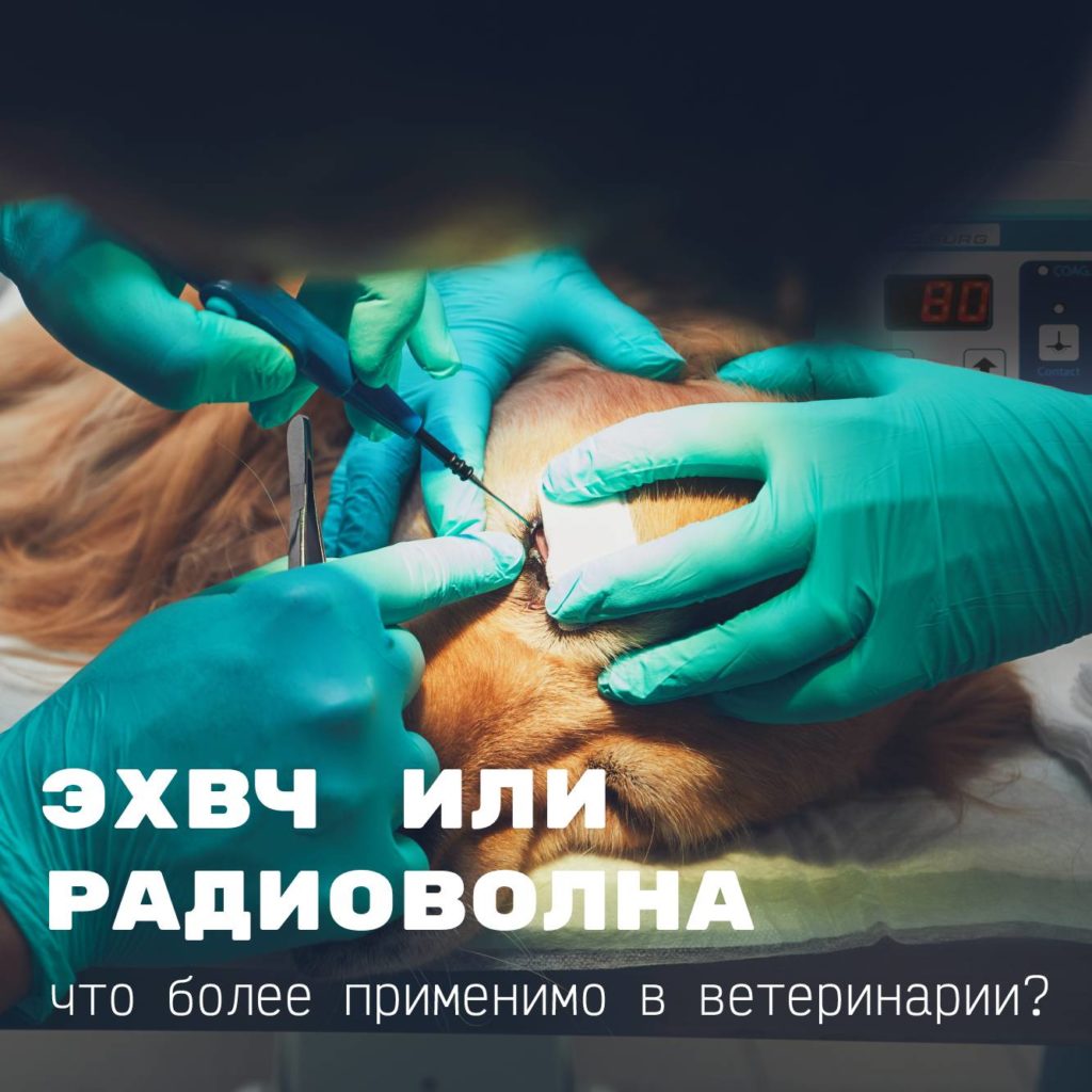 радиоволна или эхвч